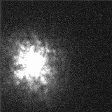 twinkle.gif